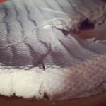 Yogurt greco bianco di Soya