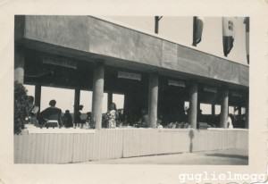 Prima Mostra della fragola, gli stand degli espositori